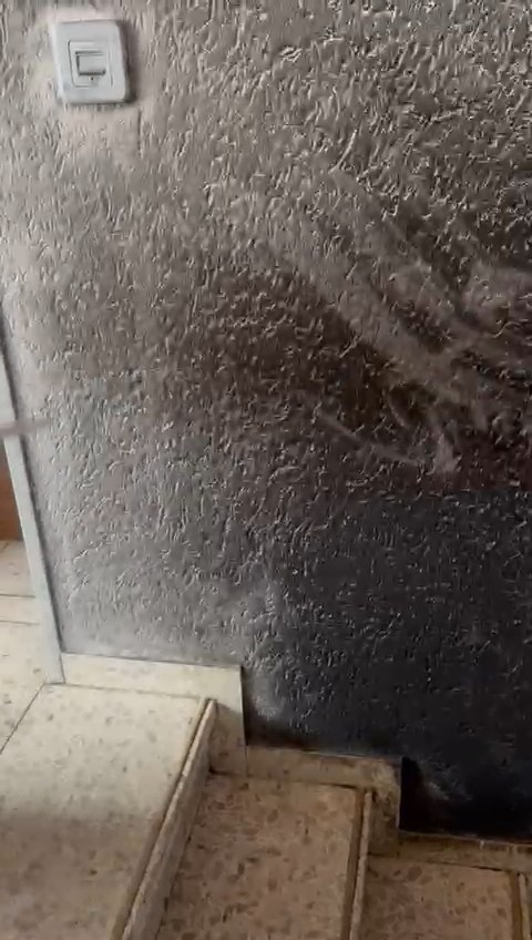 Video Vorschau